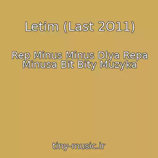 کاور آهنگ Letim (Last 2O11) از Rep Minus Minus Dlya Repa Minusa Bit Bity Muzyka