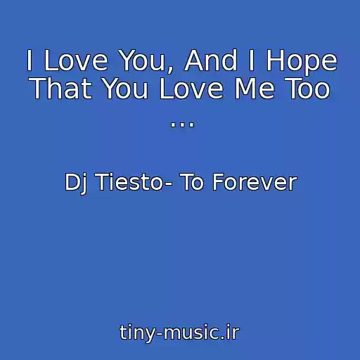 کاور آهنگ I Love You, And I Hope That You Love Me Too ... از Dj Tiesto- To Forever