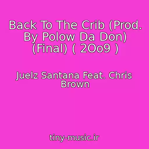 کاور آهنگ Back To The Crib (Prod. By Polow Da Don) (Final) ( 2Oo9 ) از Juelz Santana Feat. Chris Brown