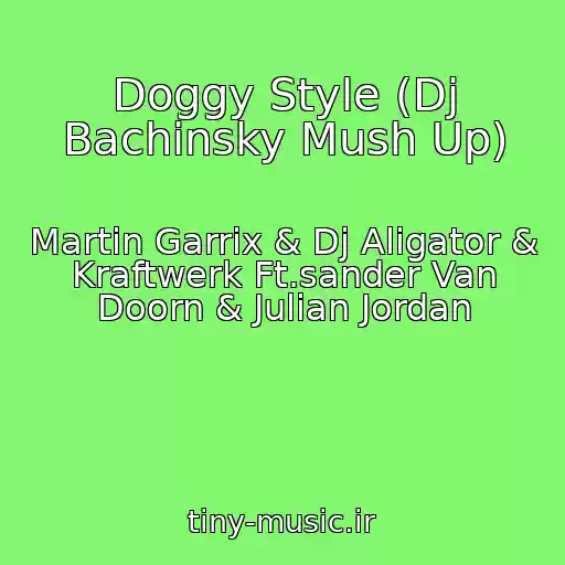 کاور آهنگ Doggy Style (Dj Bachinsky Mush Up) از Martin Garrix & Dj Aligator & Kraftwerk Ft.sander Van Doorn & Julian Jordan
