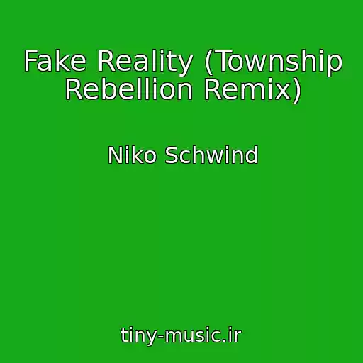 کاور آهنگ Fake Reality (Township Rebellion Remix) از Niko Schwind