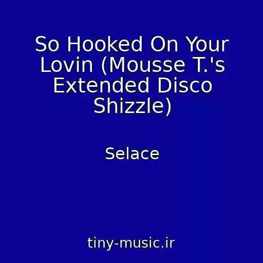 کاور آهنگ So Hooked On Your Lovin (Mousse T.'s Extended Disco Shizzle) از Selace