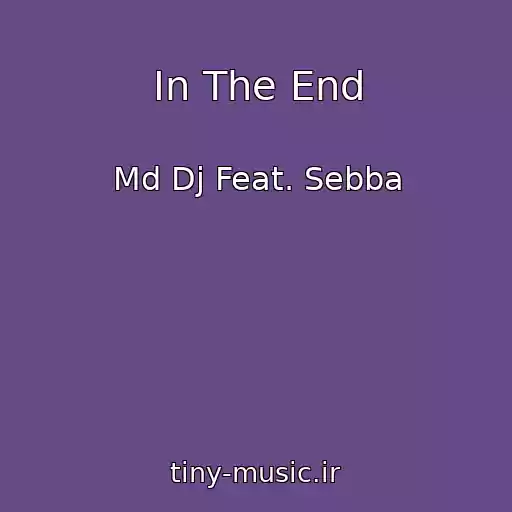 کاور آهنگ In The End از Md Dj Feat. Sebba