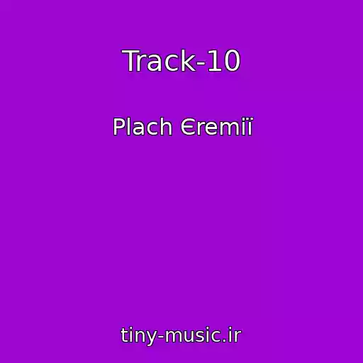 کاور آهنگ Track-10 از Plach Єremії