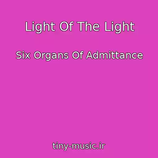 کاور آهنگ Light Of The Light از Six Organs Of Admittance