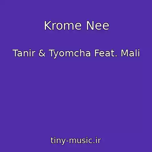 کاور آهنگ Krome Nee از Tanir & Tyomcha Feat. Mali