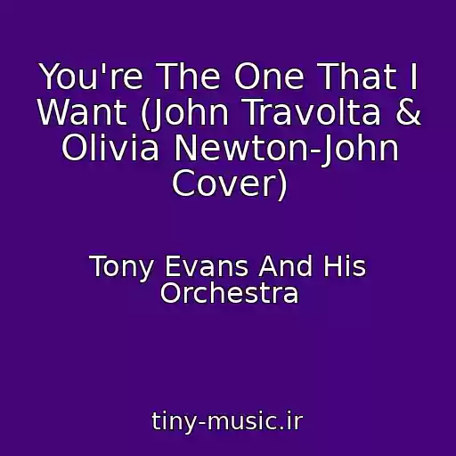 کاور آهنگ You're The One That I Want (John Travolta & Olivia Newton-John Cover) از Tony Evans And His Orchestra