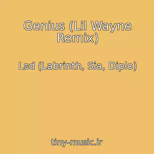 کاور آهنگ Genius (Lil Wayne Remix) از Lsd (Labrinth, Sia, Diplo)