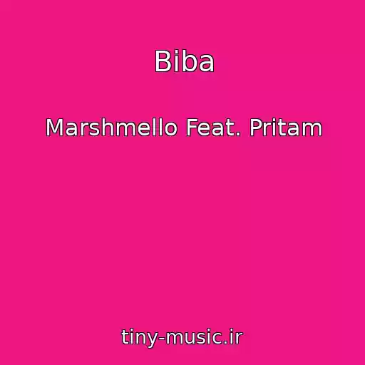 کاور آهنگ Biba از Marshmello Feat. Pritam
