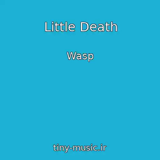 کاور آهنگ Little Death از Wasp