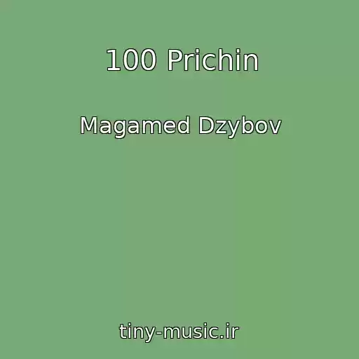 کاور آهنگ 100 Prichin از Magamed Dzybov