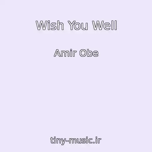 کاور آهنگ Wish You Well از Amir Obe