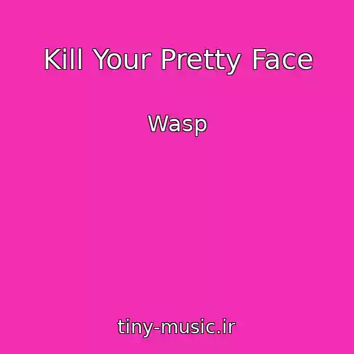 کاور آهنگ Kill Your Pretty Face از Wasp
