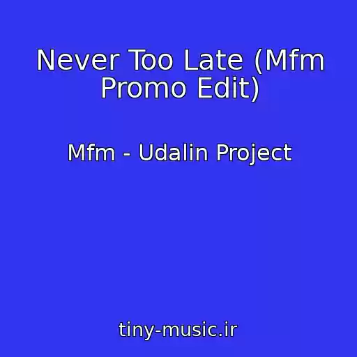 کاور آهنگ Never Too Late (Mfm Promo Edit) از Mfm - Udalin Project