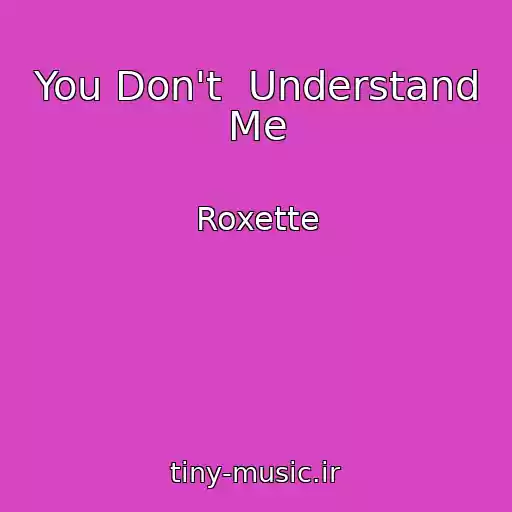 کاور آهنگ You Don't  Understand Me از Roxette