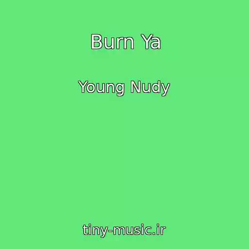کاور آهنگ Burn Ya از Young Nudy