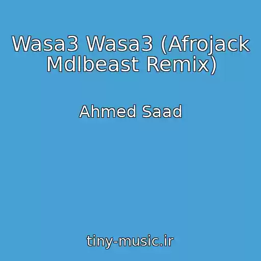 کاور آهنگ Wasa3 Wasa3 (Afrojack Mdlbeast Remix) از Ahmed Saad