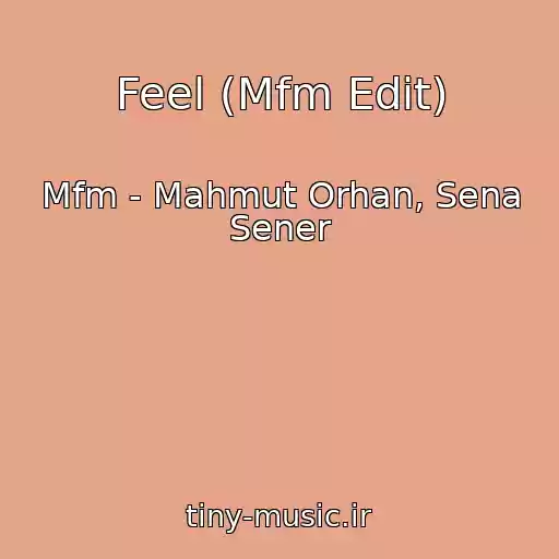 کاور آهنگ Feel (Mfm Edit) از Mfm - Mahmut Orhan, Sena Sener