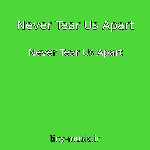 کاور آهنگ Never Tear Us Apart از Never Tear Us Apart