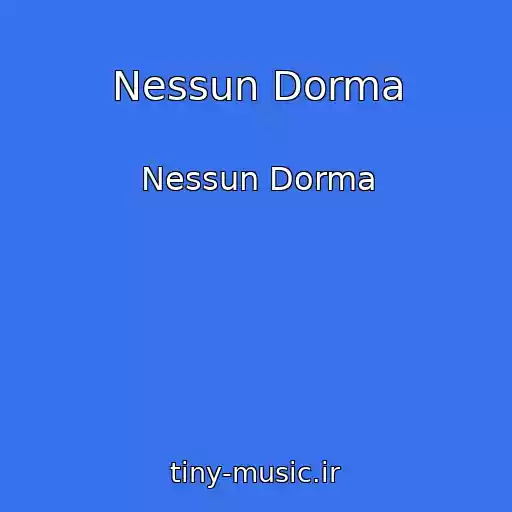 کاور آهنگ Nessun Dorma از Nessun Dorma
