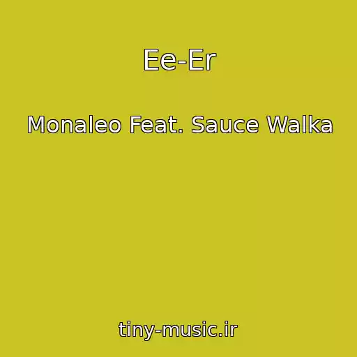 کاور آهنگ Ee-Er از Monaleo Feat. Sauce Walka