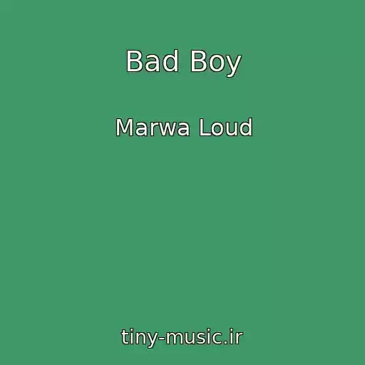کاور آهنگ Bad Boy از Marwa Loud