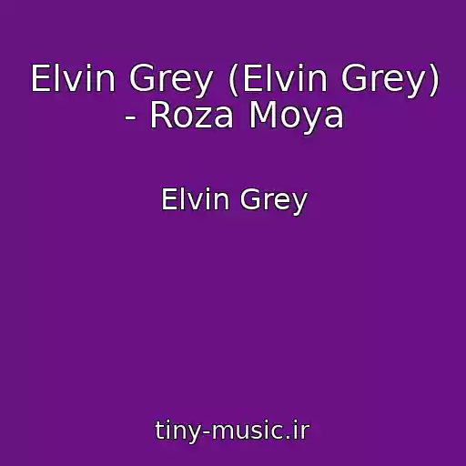 کاور آهنگ Elvin Grey (Elvin Grey) - Roza Moya از Elvin Grey