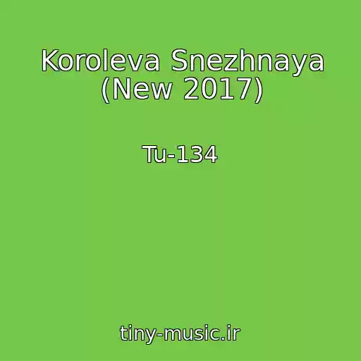 کاور آهنگ Koroleva Snezhnaya (New 2017) از Tu-134