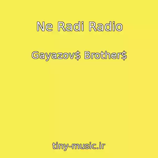 کاور آهنگ Ne Radi Radio از Gayazov$ Brother$