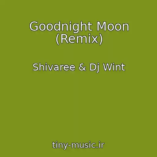 کاور آهنگ Goodnight Moon (Remix) از Shivaree & Dj Wint