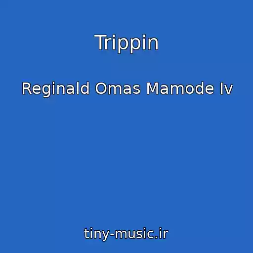 کاور آهنگ Trippin از Reginald Omas Mamode Iv