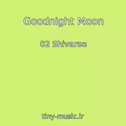 کاور آهنگ Goodnight Moon از 02 Shivaree