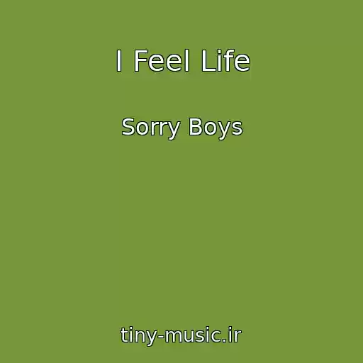 کاور آهنگ I Feel Life از Sorry Boys