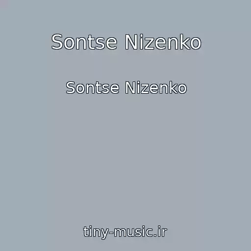 کاور آهنگ Sontse Nizenko از Sontse Nizenko