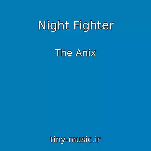 کاور آهنگ Night Fighter از The Anix