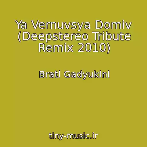کاور آهنگ Ya Vernuvsya Domіv (Deepstereo Tribute Remix 2010) از Brati Gadyukіni