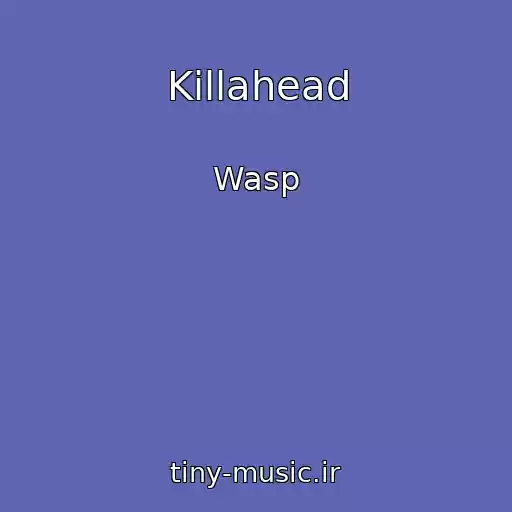 کاور آهنگ Killahead از Wasp