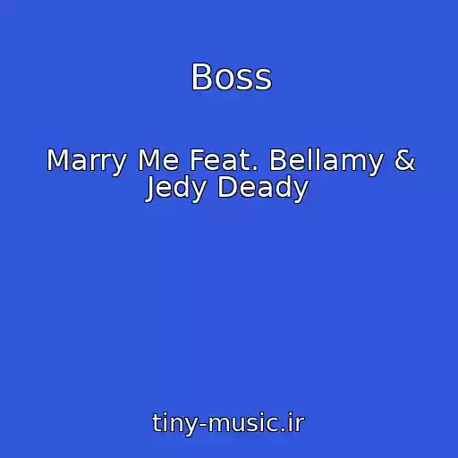 کاور آهنگ Boss از Marry Me Feat. Bellamy & Jedy Deady