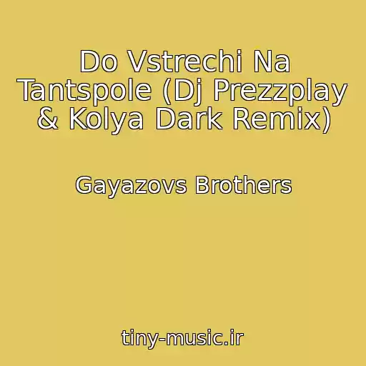 کاور آهنگ Do Vstrechi Na Tantspole (Dj Prezzplay & Kolya Dark Remix) از Gayazovs Brothers