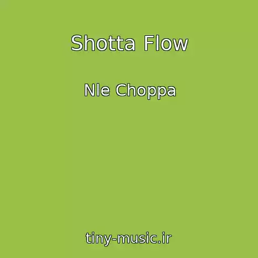 کاور آهنگ Shotta Flow از Nle Choppa