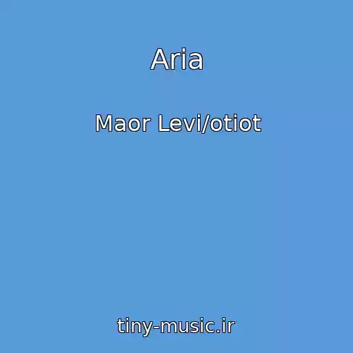 کاور آهنگ Aria از Maor Levi/otiot