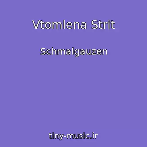 کاور آهنگ Vtomlena Strіt از Schmalgauzen