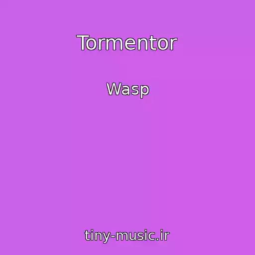 کاور آهنگ Tormentor از Wasp