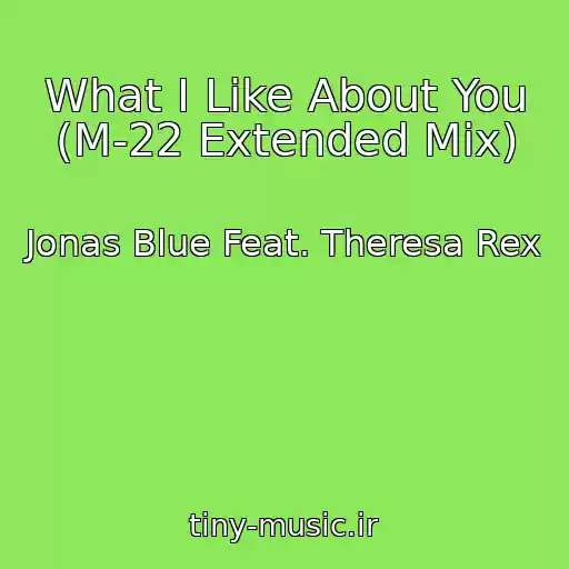 کاور آهنگ What I Like About You (M-22 Extended Mix) از Jonas Blue Feat. Theresa Rex