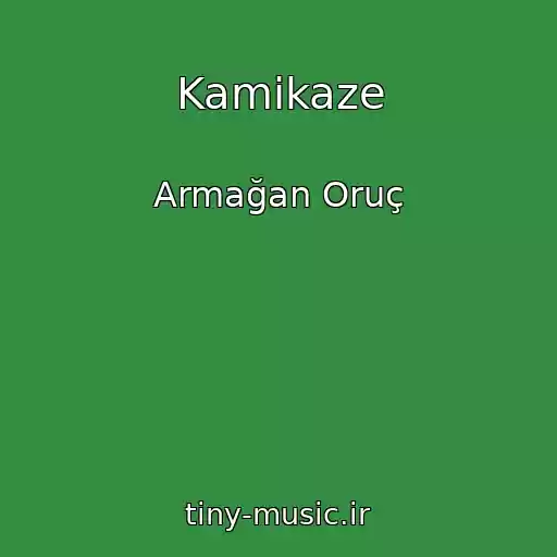 کاور آهنگ Kamikaze از Armağan Oruç