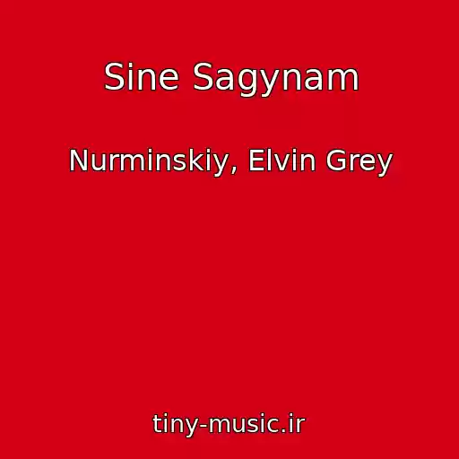 کاور آهنگ Sine Sagynam از Nurminskiy, Elvin Grey