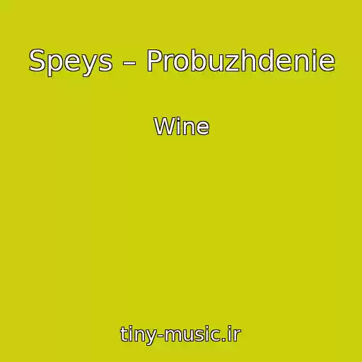 کاور آهنگ Speys – Probuzhdenie از Wine