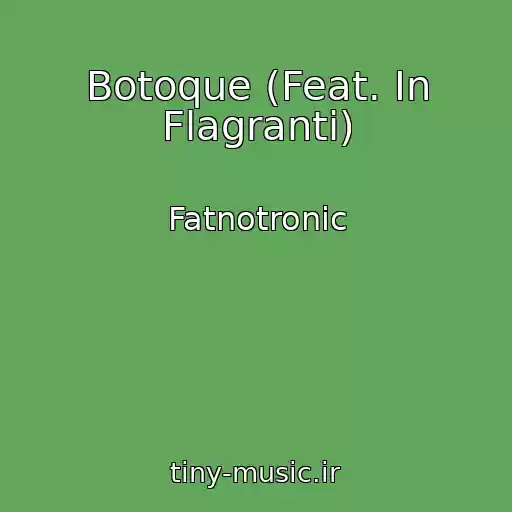 کاور آهنگ Botoque (Feat. In Flagranti) از Fatnotronic