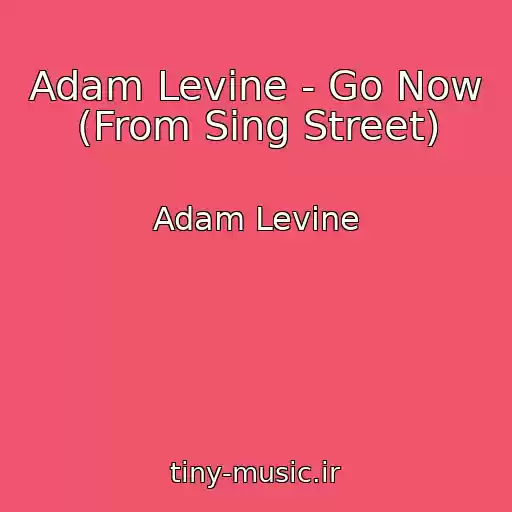 کاور آهنگ Adam Levine - Go Now (From Sing Street) از Adam Levine