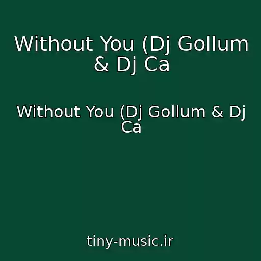 کاور آهنگ Without You (Dj Gollum & Dj Ca از Without You (Dj Gollum & Dj Ca